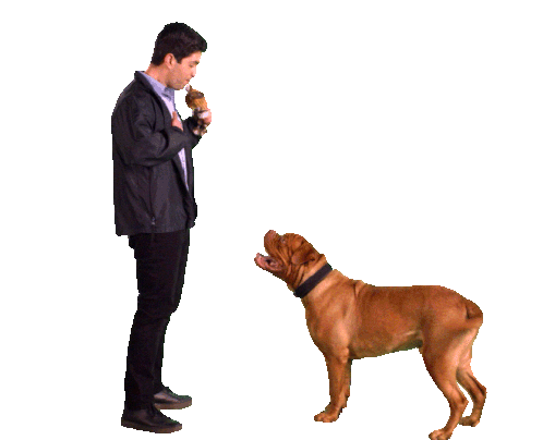 Un hombre llama a su perro, que lo mira atento esperando la orden